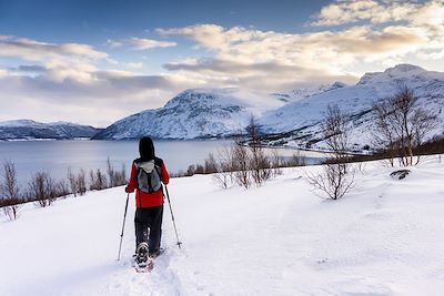 Entre mer et montagnes au bord de tromso - Norvège