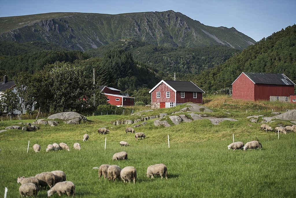Voyage Merveilles des îles Lofoten, Senja et Vesteralen 3