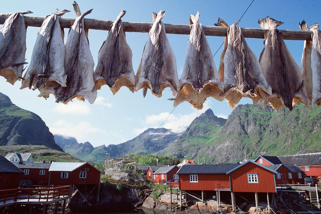 Voyage Merveilles des îles Lofoten, Senja et Vesteralen 2