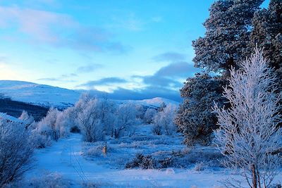© Stéphanie Prade - Du côté du lac de Nordersjoen - Norvège Du côté du lac de Nordersjoen - Norvège