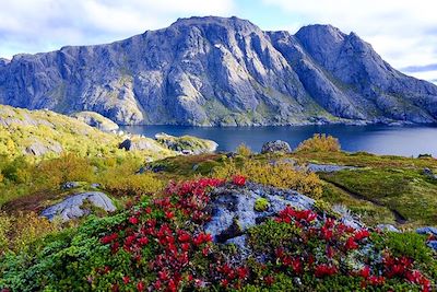 © Pascal Bourguignon - Ile de Lille Molla - Lofoten - Norvège Ile de Lille Molla - Lofoten - Norvège