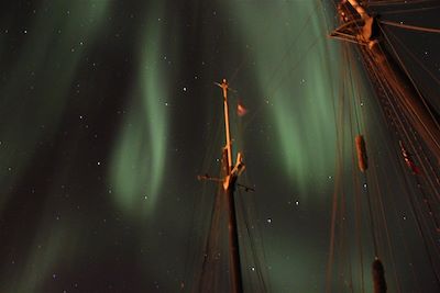 Voyage Baleine, aurore boréale à bord d'un vieux gréement 1