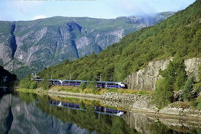 © Rolf M. Sørensen - Train Oslo - Bergen - Norvège Train Oslo - Bergen - Norvège
