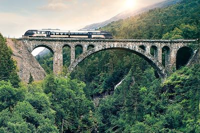 © Johan Berge / visit Norway - Train - Raumabanen - Norvège Train - Raumabanen - Norvège