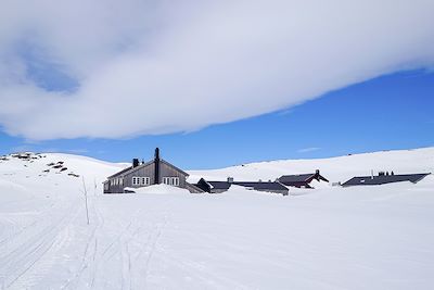 Hardangervidda - Norvège