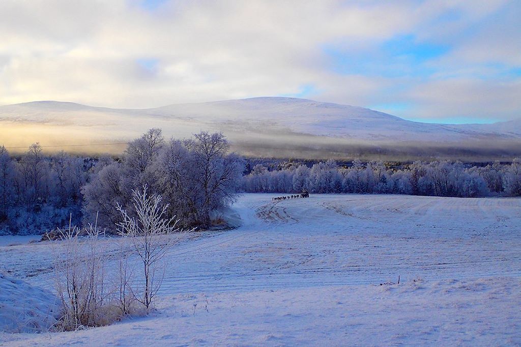 Voyage Traversée hivernale de la Norvège 1