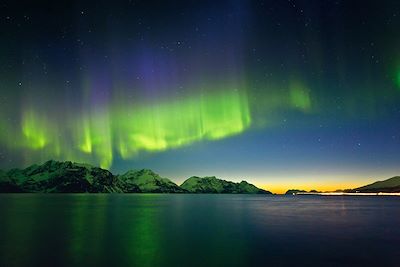 Aurores boréales dans la nuit polaire - Norvège 