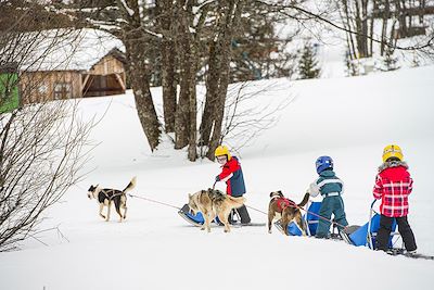© LANSARD Gilles / Hemis.fr - Initiation à l'attelage de chiens de traîneaux Initiation à l'attelage de chiens de traîneaux