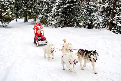 © Zuberka / iStock - Enfants - Chiens de traîneaux - Norvège Enfants - Chiens de traîneaux - Norvège