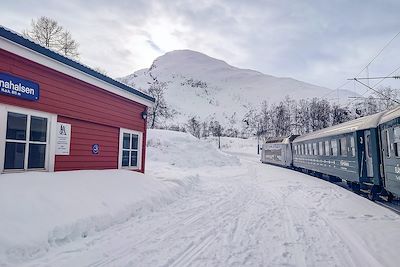 Gare de Vatnahalsen - Train Flamsbana - Norvège
