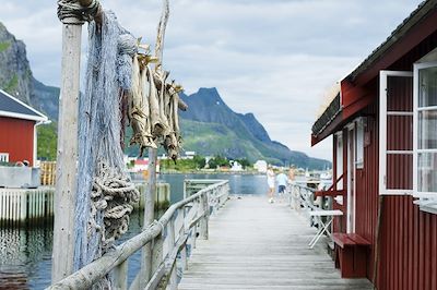 Voyage Charme et confort aux Lofoten 3