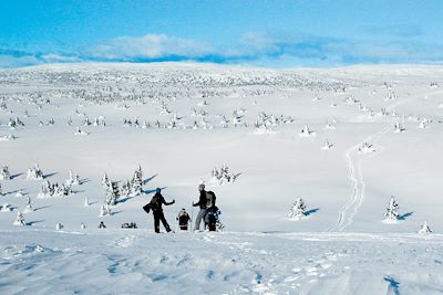 Voyage Sur les hauts plateaux enneigés de Lillehammer 2