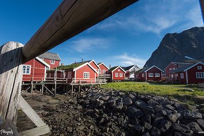 Voyage Randonnée et photographie dans les îles Lofoten 1