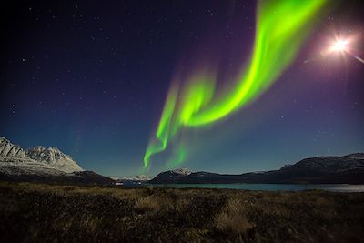 © Max Larsson / Arctic Panorama Lodge - Aurores boréales - Uloybukta - Norvège Aurores boréales - Uloybukta - Norvège