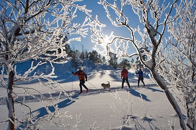 © Ernst Furuhatt - Norvège Norvège