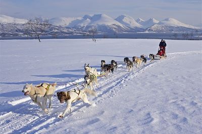 Traineau à chiens près de Tromso - Norvège