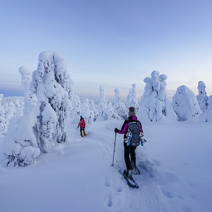 Aurores boréales Norvège Laponie finlandaise