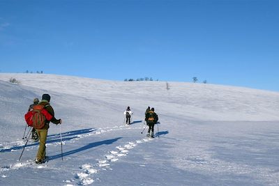 Raid en raquettes - Norvège