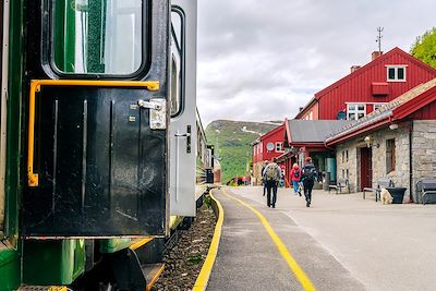 Flåmsbana à la gare de Myrdal - Norvège