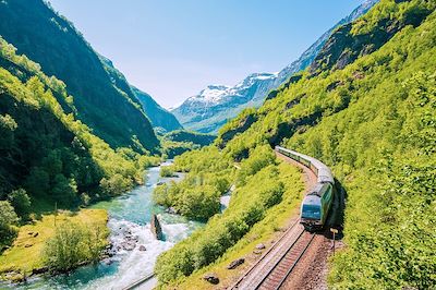 Voyage D'Oslo à Bergen en train et magnifique Sognefjord 3