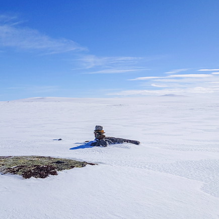 Ski de fond et ski nordique Norvège