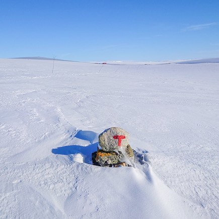 Ski de fond et ski nordique Norvège