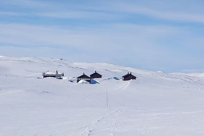 © Edwige Carron - Plateau du Hardangervidda - Norvège Plateau du Hardangervidda - Norvège