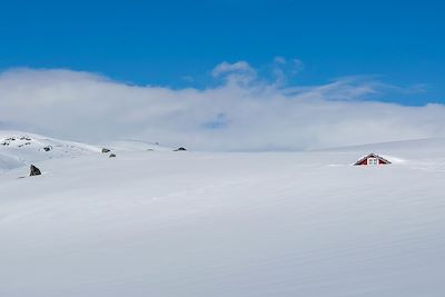 © Edwige Carron - Plateau du Hardangervidda - Norvège Plateau du Hardangervidda - Norvège