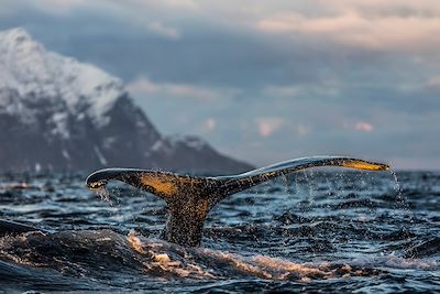 Photographie Norvège