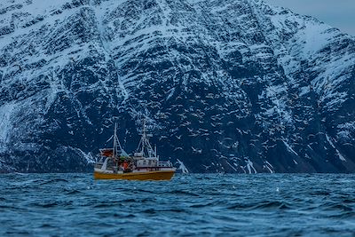 Bateau - Norvège