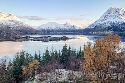 Fjord - Lofoten - Norvège