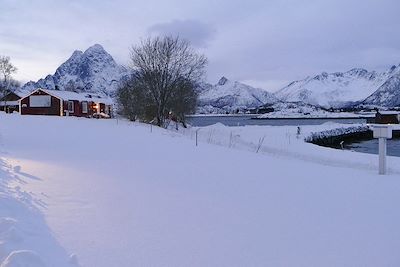 Rorbu - Orsvag -  Iles Lofoten - Nordland -  Norvège