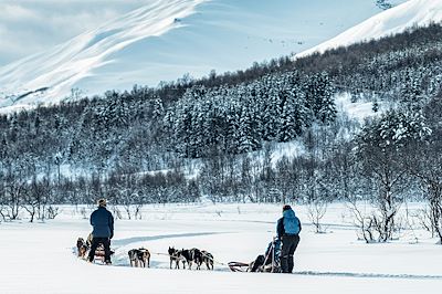 Activité chiens de traineau en Norvege