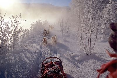 © Bjorn Klauer - Norvège Norvège