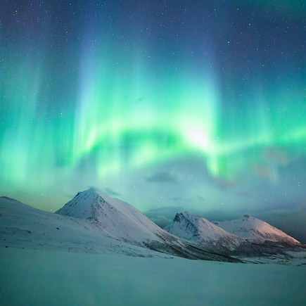 Observation animalière Norvège