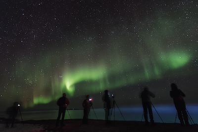 Photographes photographiant une aurore boréale en Norvège