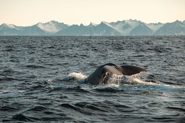 Voyage Plongée en eaux sauvages avec Arthur Guérin-Boëri