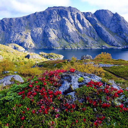 Navigation Norvège Iles Lofoten
