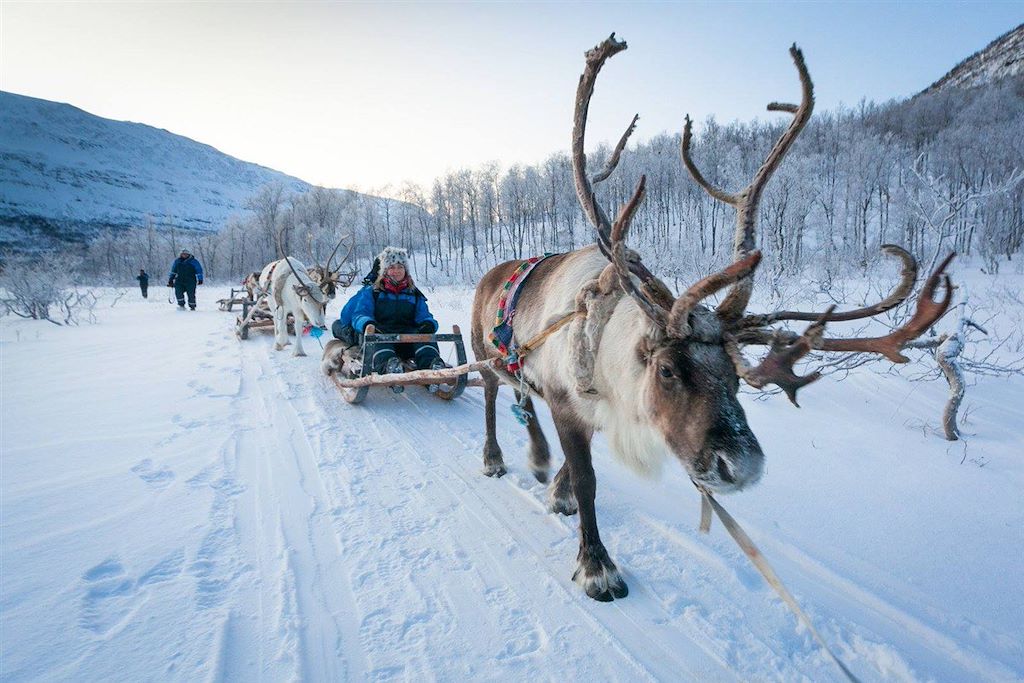 Image Norvège - Alpes de Lyngen - multi activité hivernal
