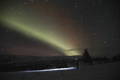 Observation des aurores boréales