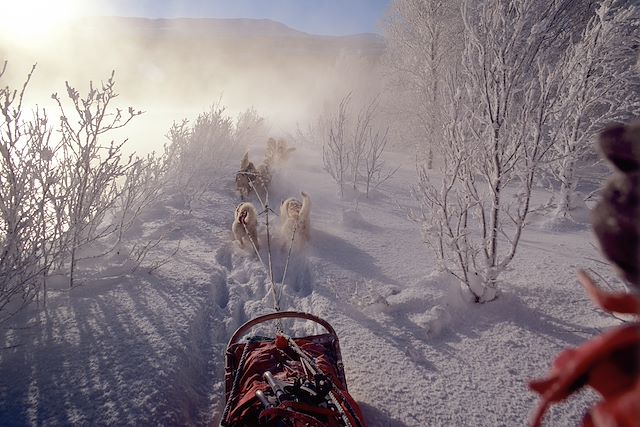 Voyage Raid en traîneau dans la montagne norvégienne