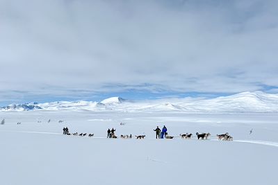 Expédition en traîneau à chiens - Norvège