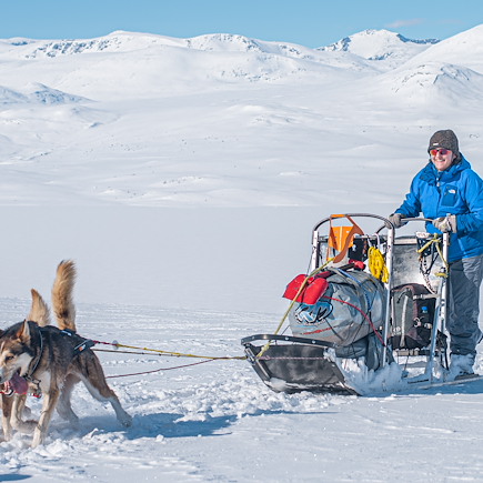 Traîneau à chiens Norvège