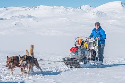Expédition en Traîneau à chiens - Norvège