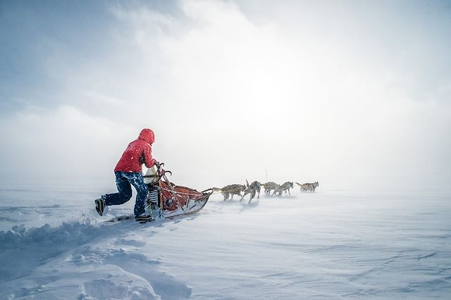 Traîneau à chiens Norvège