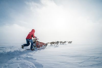 Expédition en traîneau à chiens - Norvège 