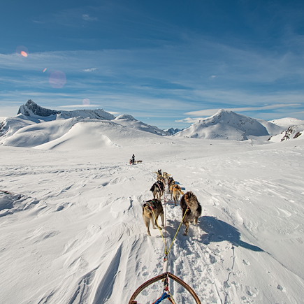 Traîneau à chiens Norvège