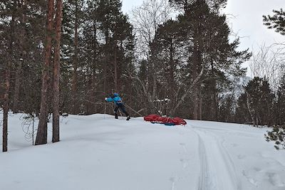 Raid à ski - Finnmarksvidda (plateau du Finnmark) - Norvège