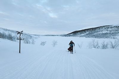 Raid à ski - Finnmarksvidda (plateau du Finnmark) - Norvège