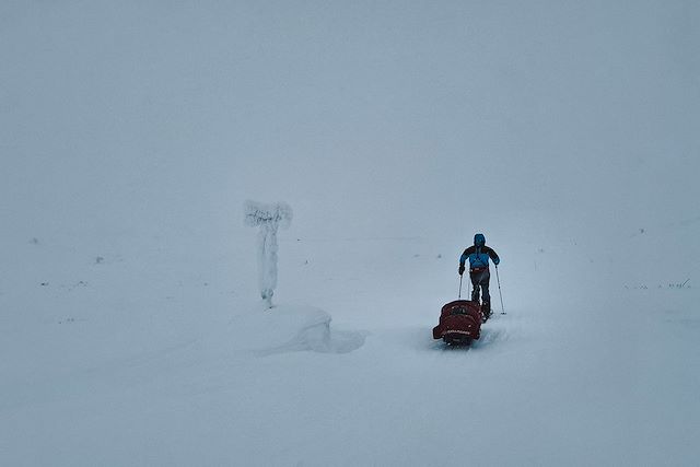 Voyage Traversée du Finnmarksvidda en ski nordique